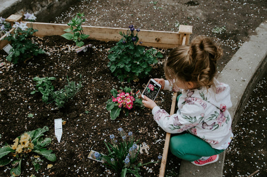 Herbalism for Modern Families: Simple Ways to Involve Kids in Plant Wisdom