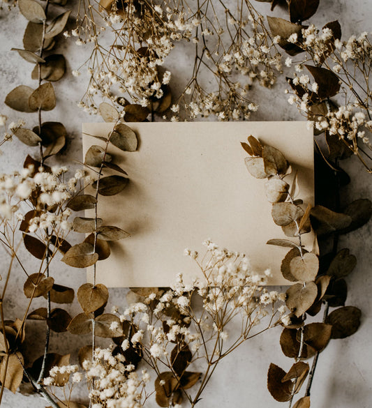 Twig Botanicals Gift Card