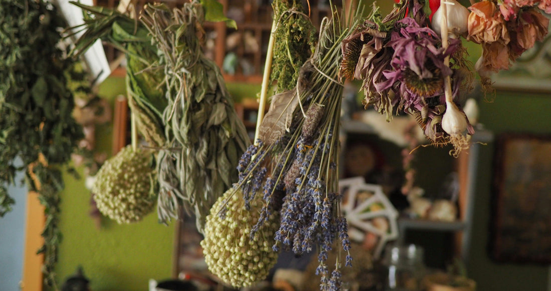 Behind the Brand: A Day in the Life at Twig Botanicals