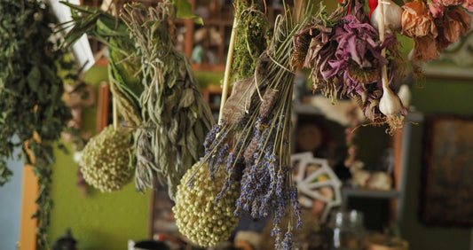 Behind the Brand: A Day in the Life at Twig Botanicals